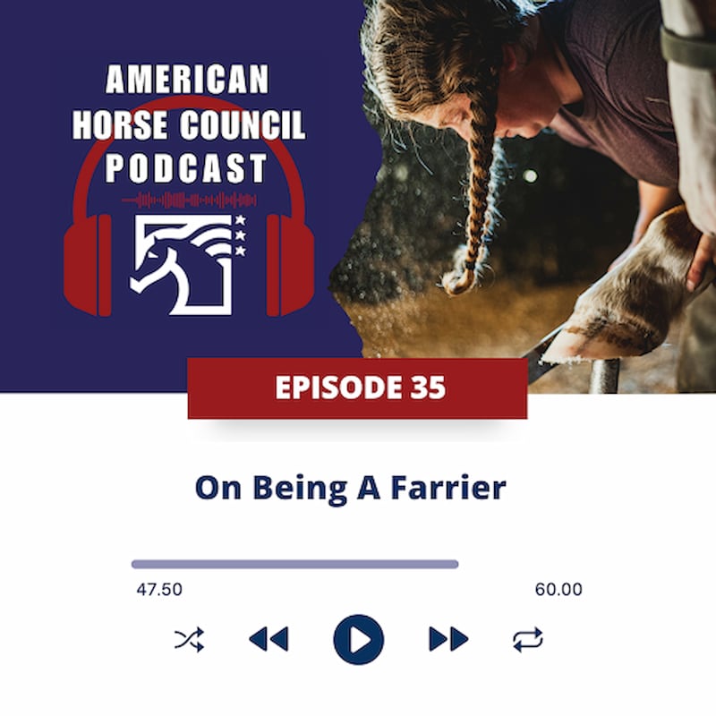 Artwork for podcast American Horse Council Podcast