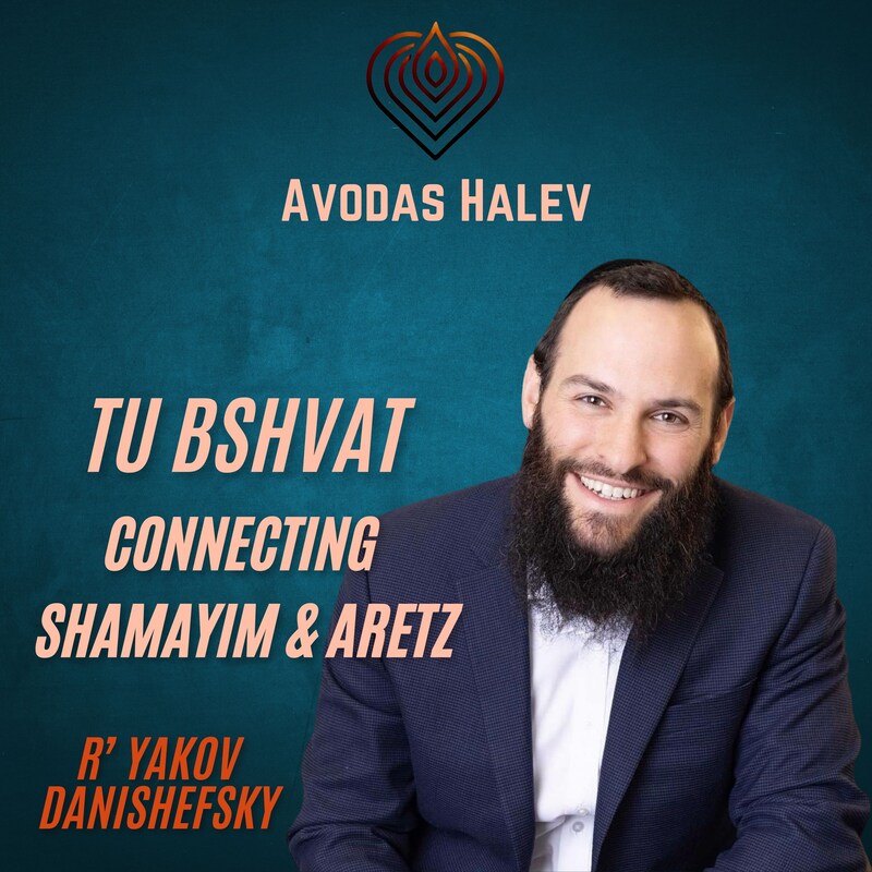 Artwork for podcast Avodas HaLev