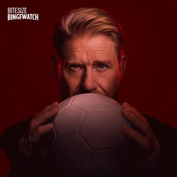 Artwork for Schmeichel