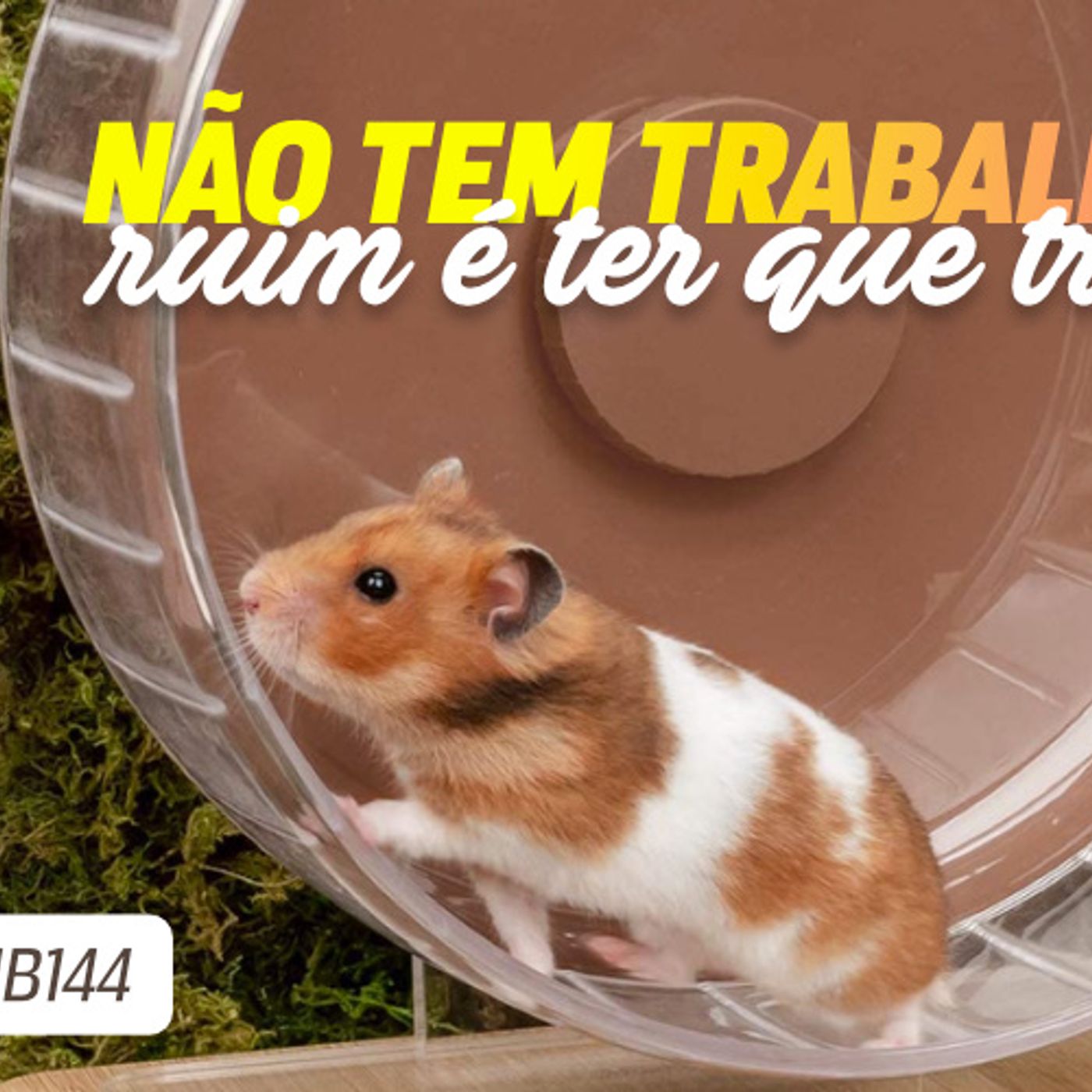 Não tem trabalho ruim, ruim é ter que trabalhar | No Barquinho episode artwork