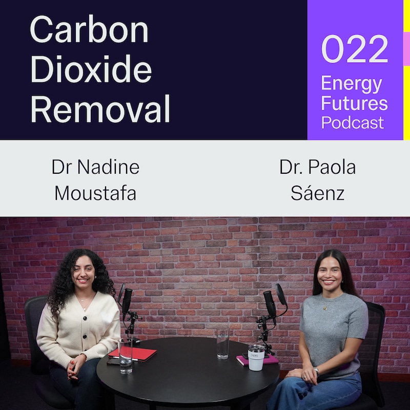 Artwork for podcast Energy Futures Podcast