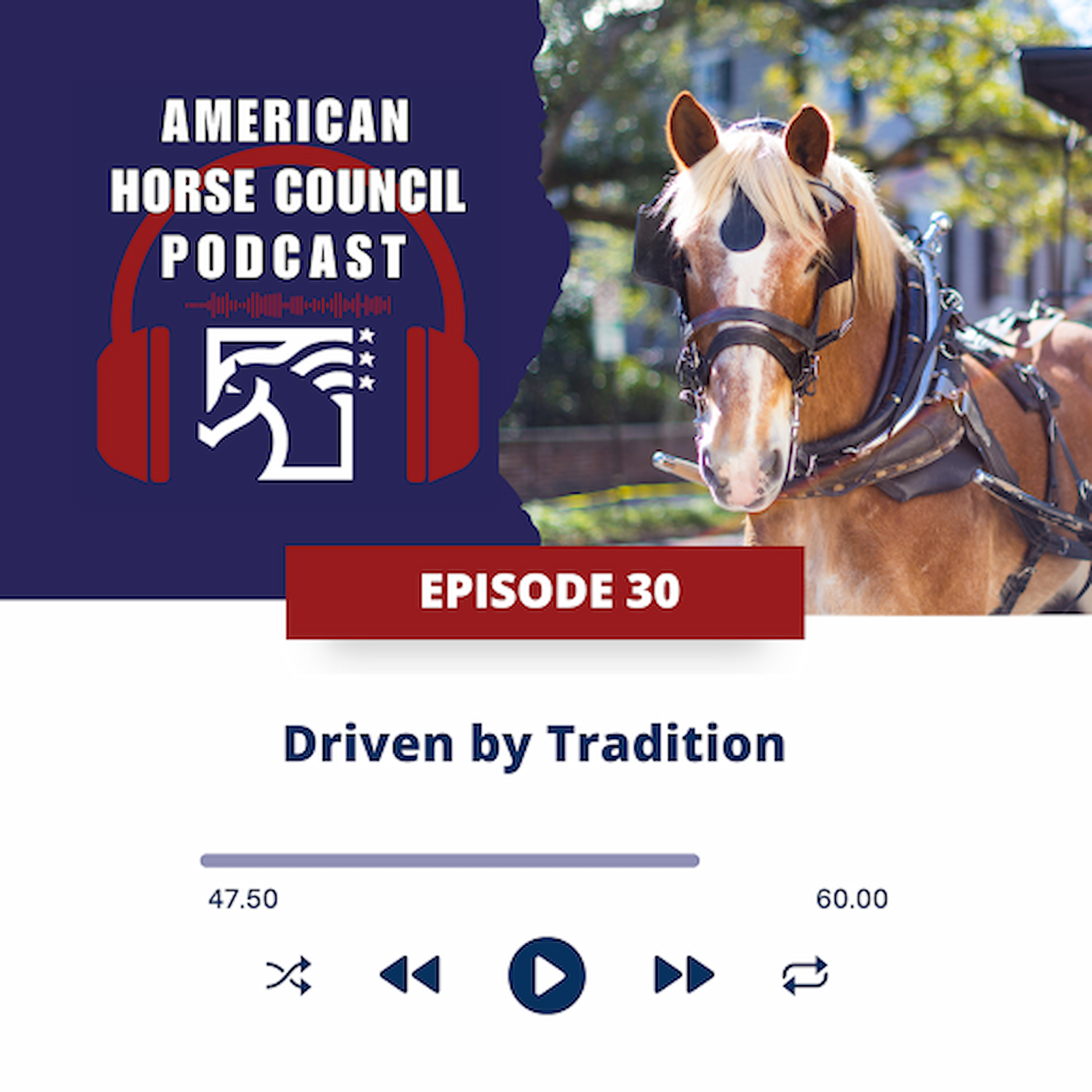 AHC:  Driven by Tradition for October 7, 2025 - HORSES IN THE MORNING