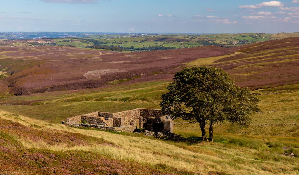 COMING SOON: Windfarms on Peat? It’s "Kafkaesque", Says Leading Ecologist” episode artwork
