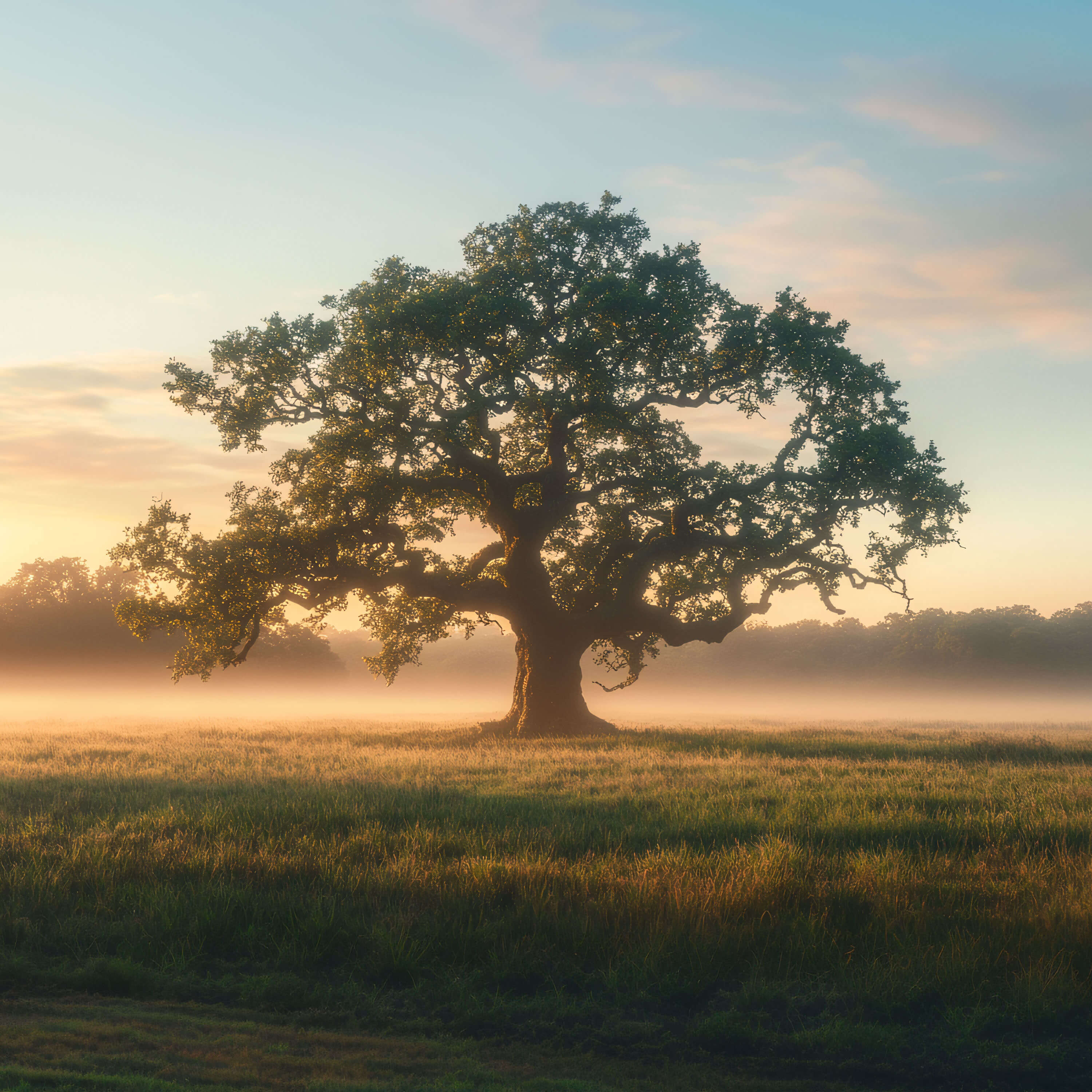 Inner Peace Meditations