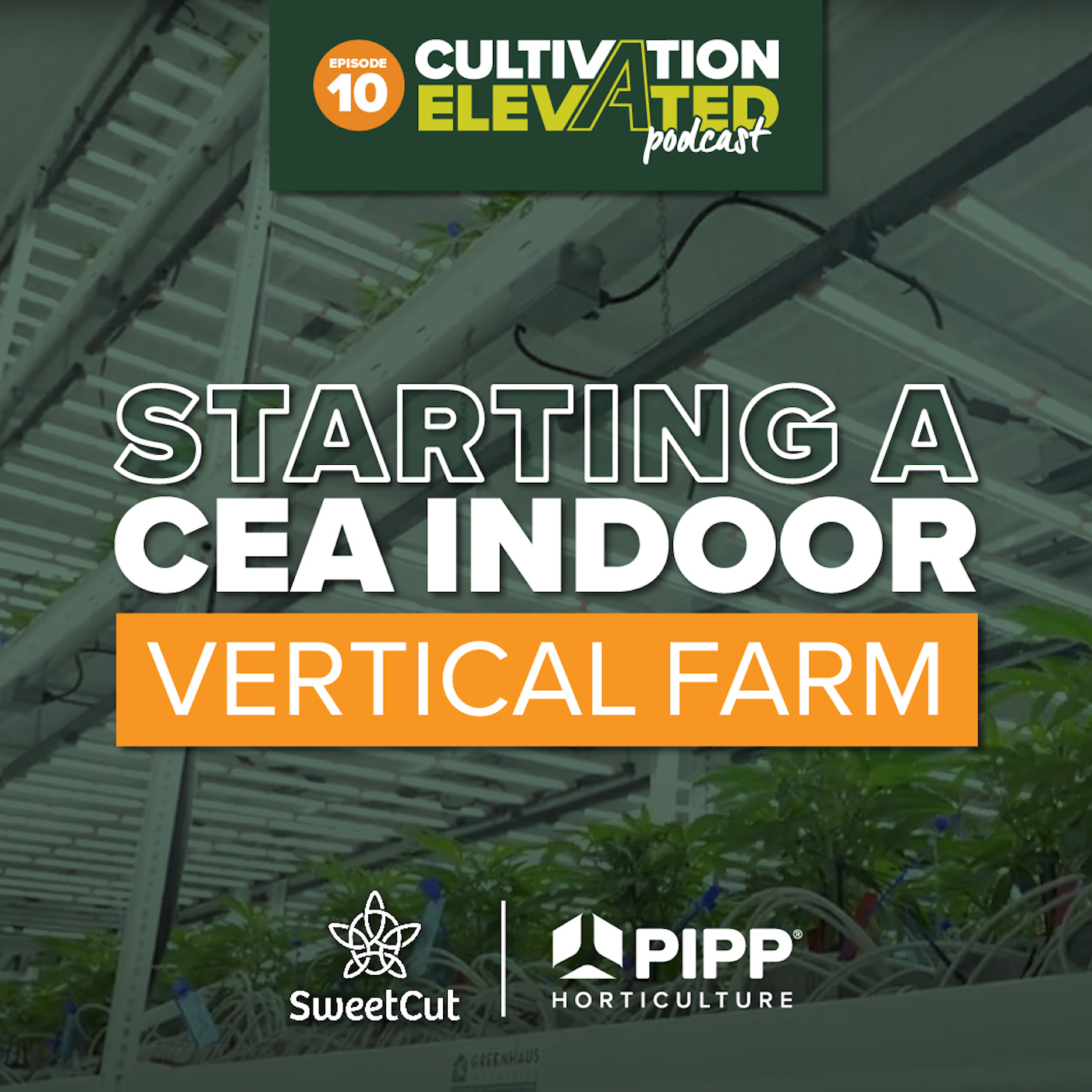 Cultivation Elevated - Indoor Farming, Cannabis Growers & Cultivators - Pipp Horticulture