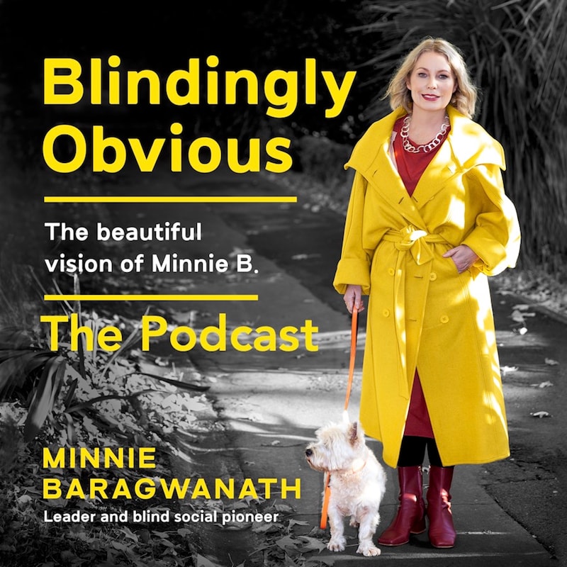 Artwork for podcast Blindingly Obvious  The Audiobook Series