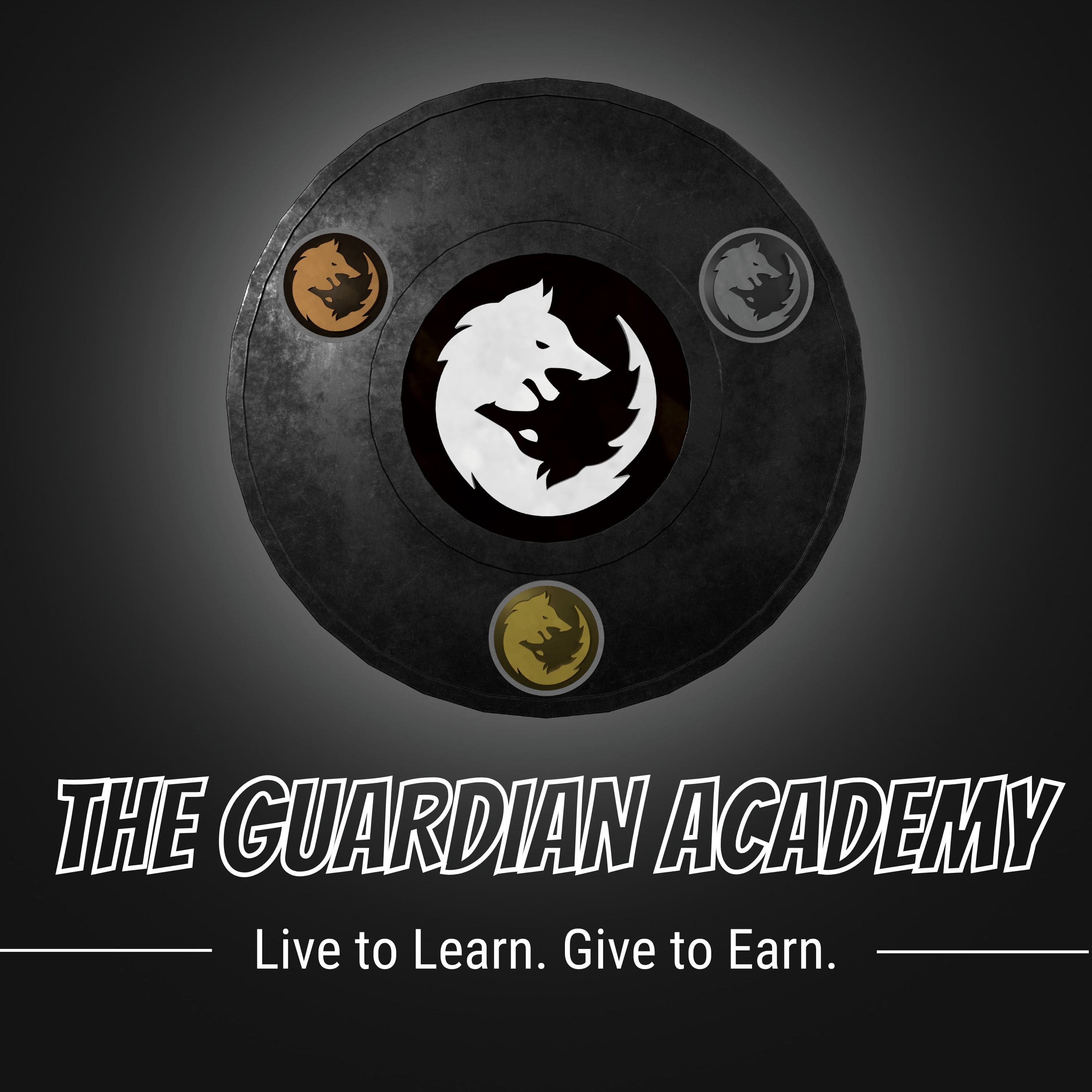 Show artwork for The Guardian Academy