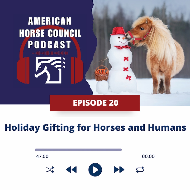 Artwork for podcast American Horse Council Podcast