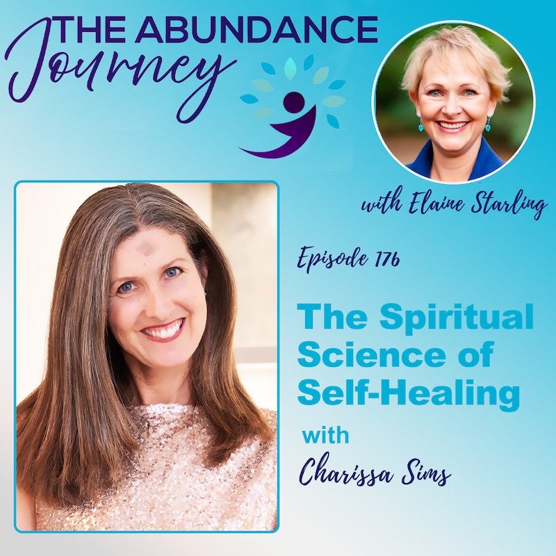 Artwork for podcast The Abundance Journey: Accelerating Revenue With An Abundance Mindset