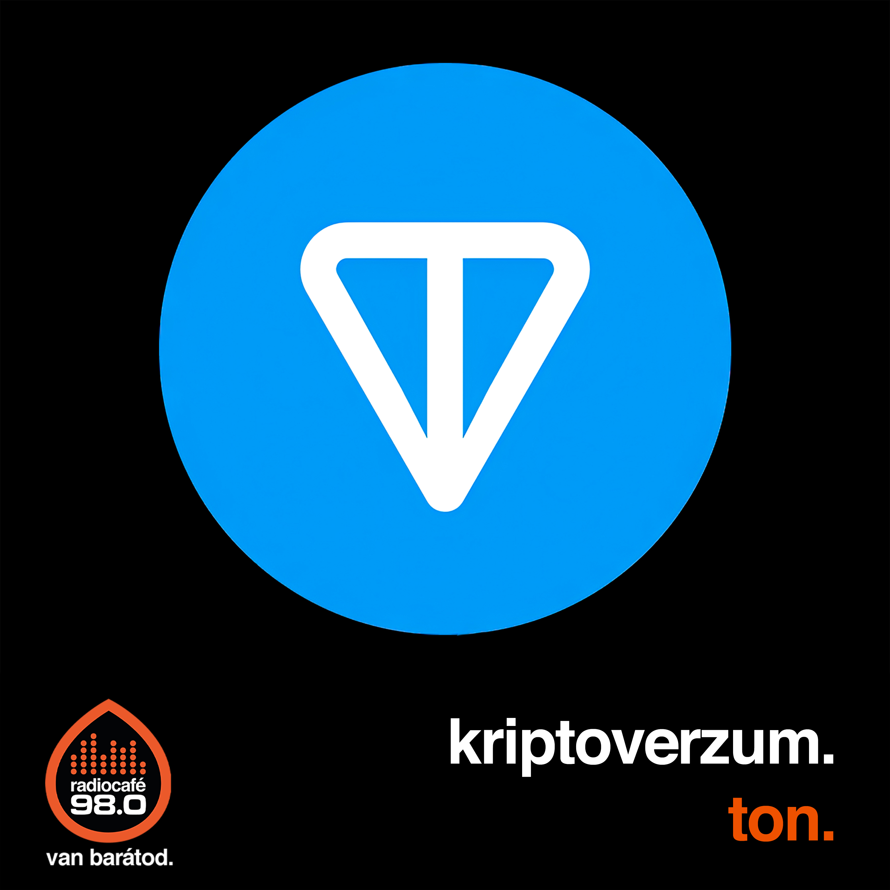 #046 - Mérföldkő a TON-hálózat történetében, ugrott a TON token (2024-07-22) episode artwork