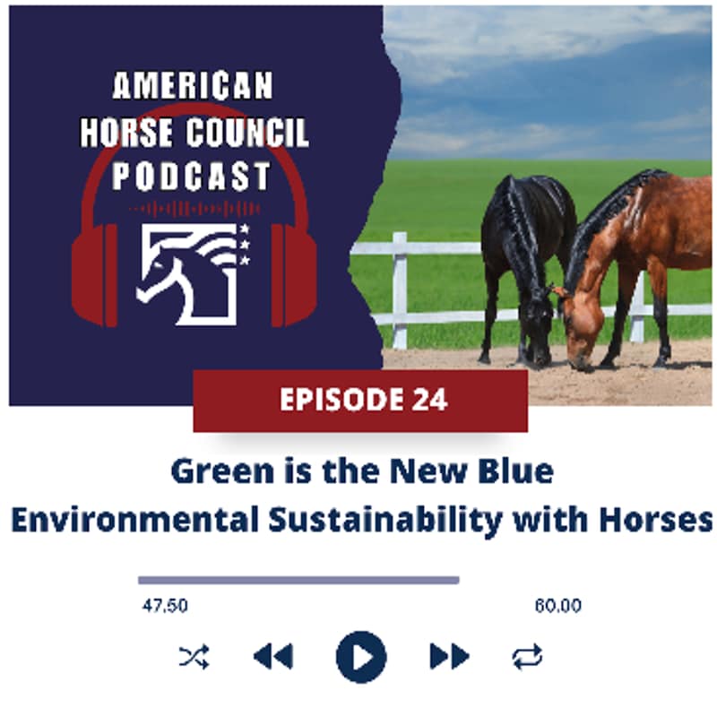 Artwork for podcast HORSES IN THE MORNING