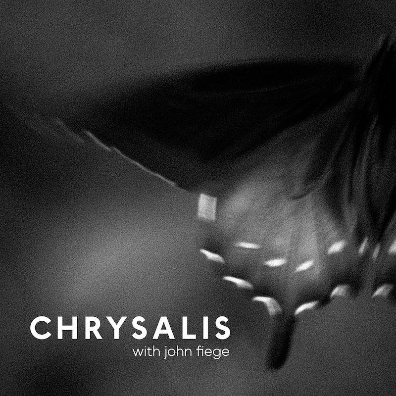 Artwork for podcast Chrysalis with John Fiege