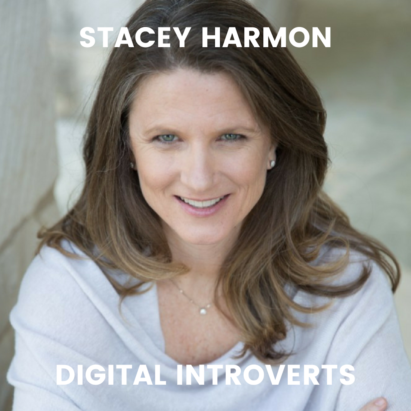 Episode 21: How to Be More Productive Online With Stacey Harmon Image
