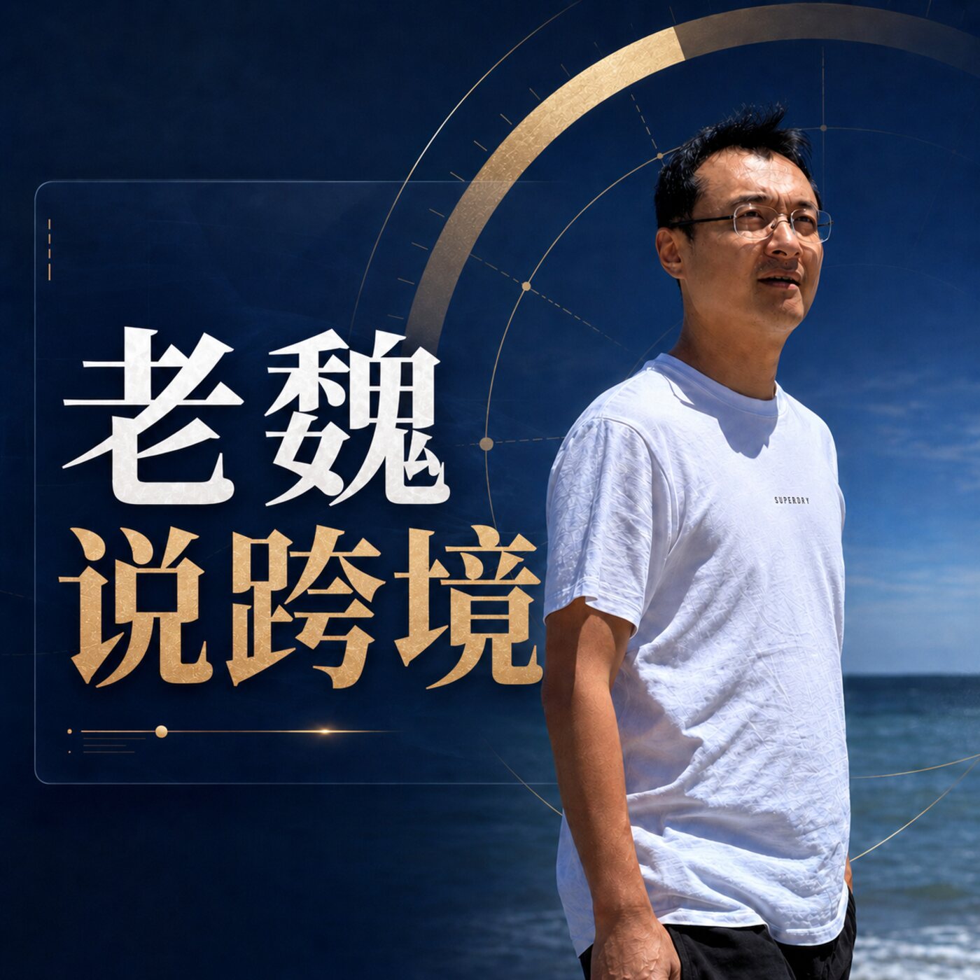 Artwork for 老魏说跨境