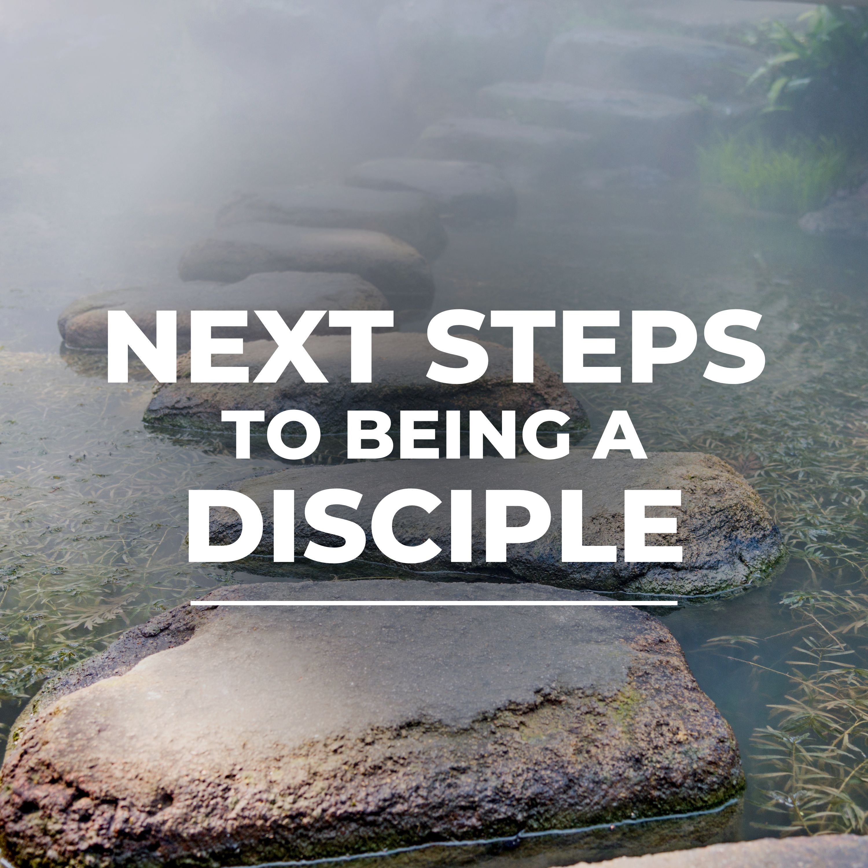 Next Steps to Being a Disciple - Part 2