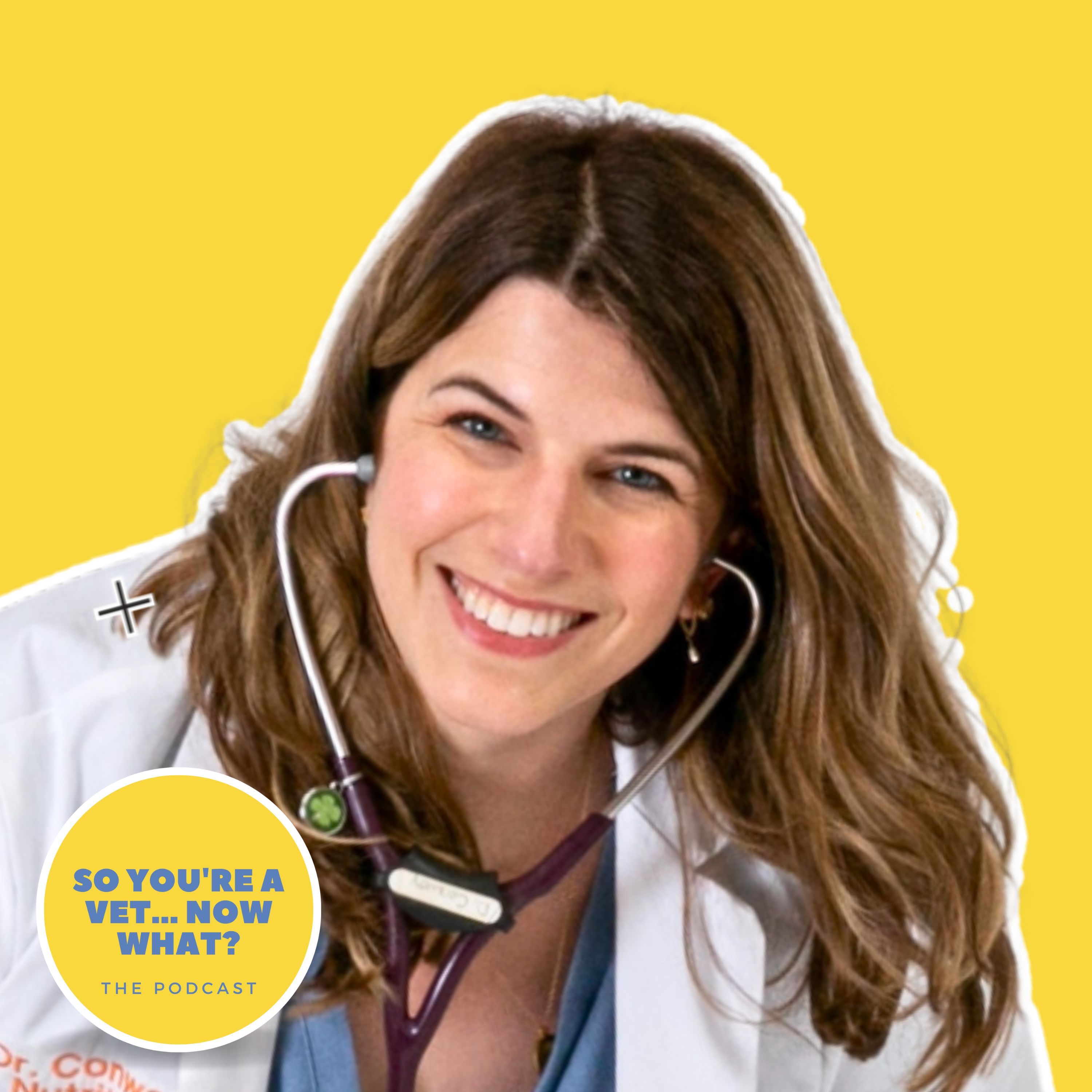 The \'So You\'re A Vet... Now What?\' Podcast