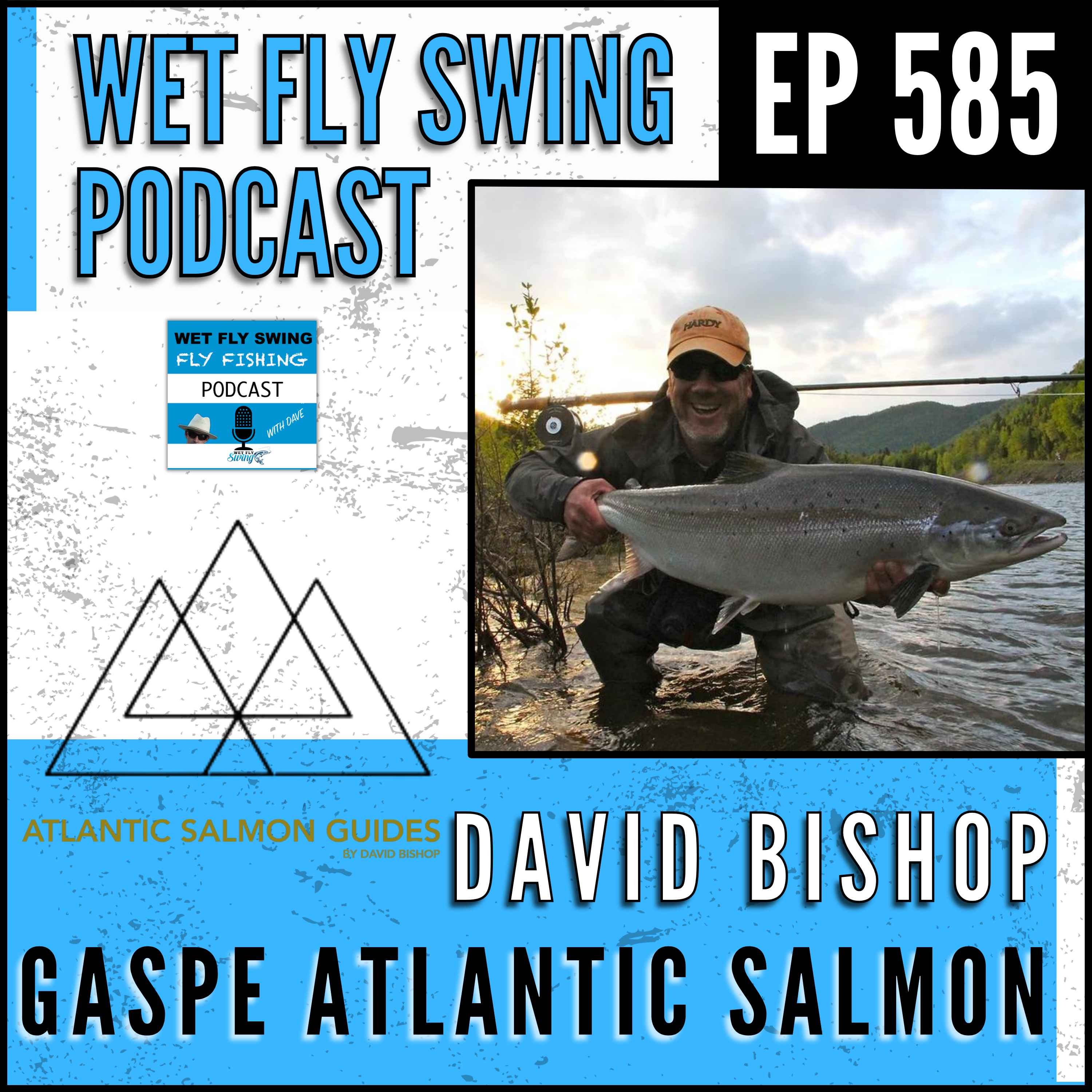 585 | David Bishop's Masterclass on Gaspe Peninsula Atlantic Salmon: Unleashing Your Potential on the Water episode artwork