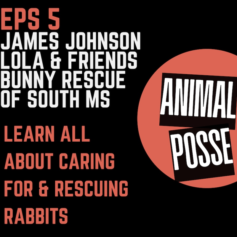 Artwork for podcast Animal Posse