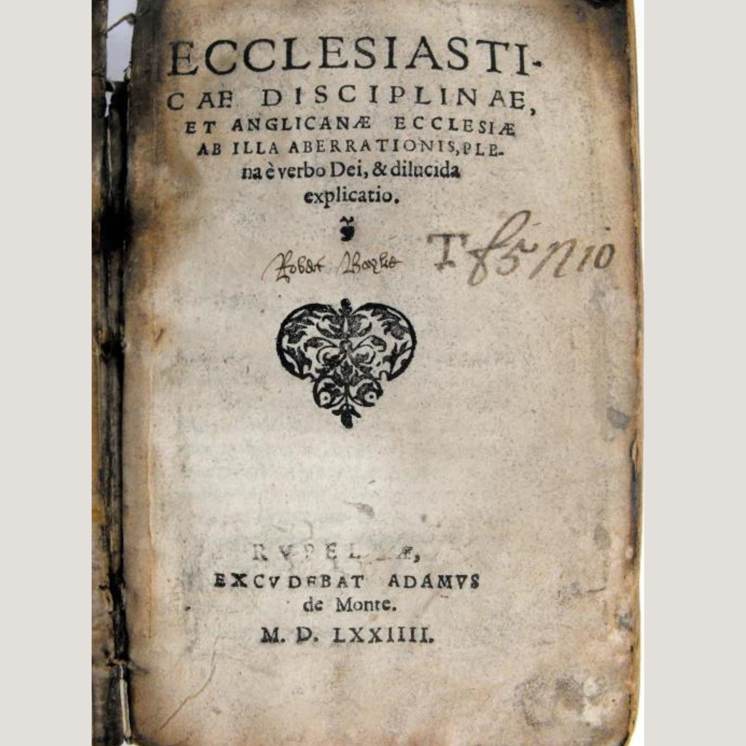 The Rise of the Protestants