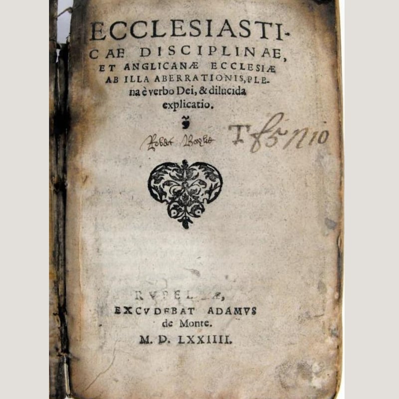 Artwork for podcast The Rise of the Protestants