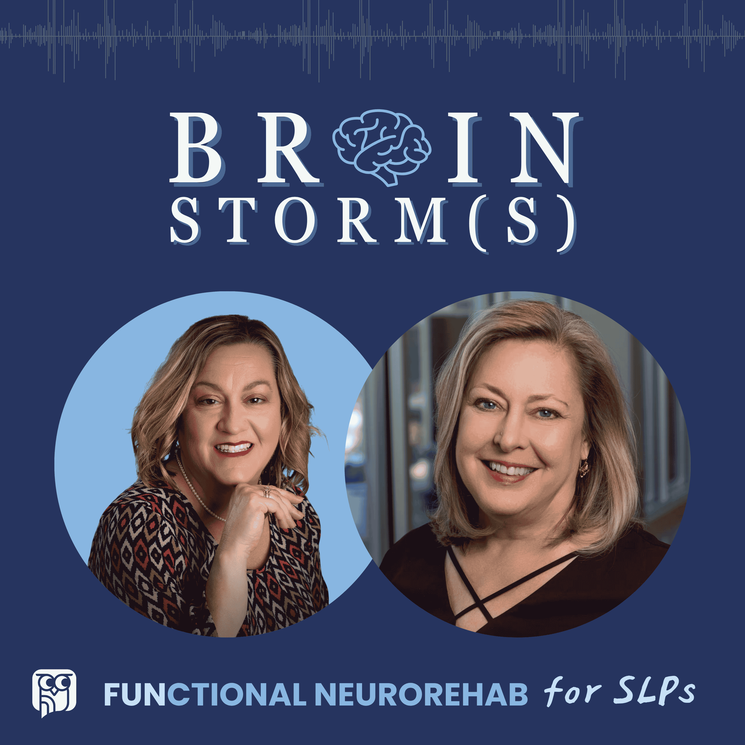 Brainstorms: Functional Neurorehab for SLPs