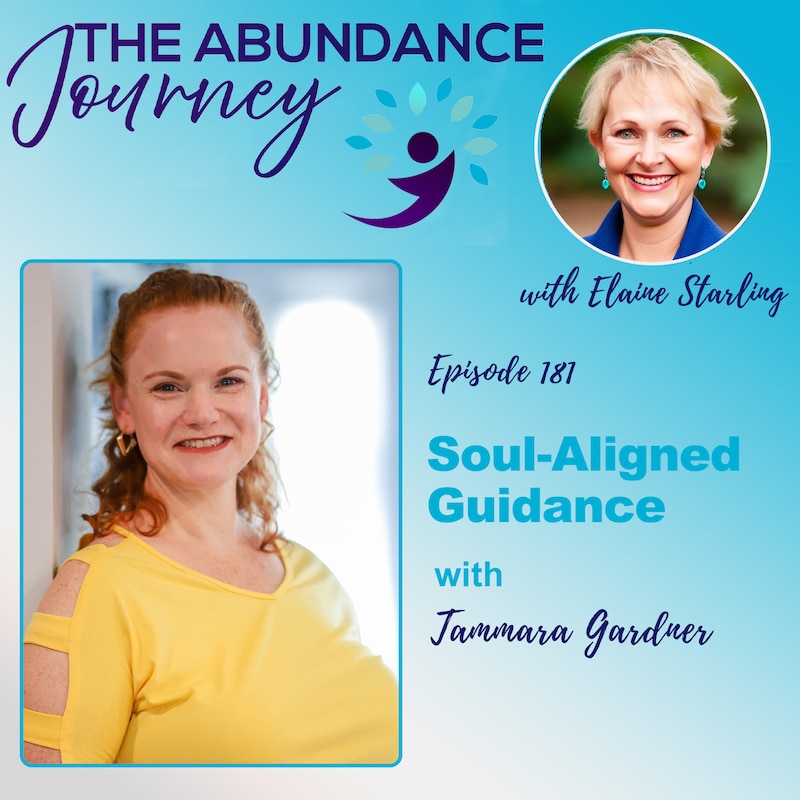 Artwork for podcast The Abundance Journey: Accelerating Revenue With An Abundance Mindset
