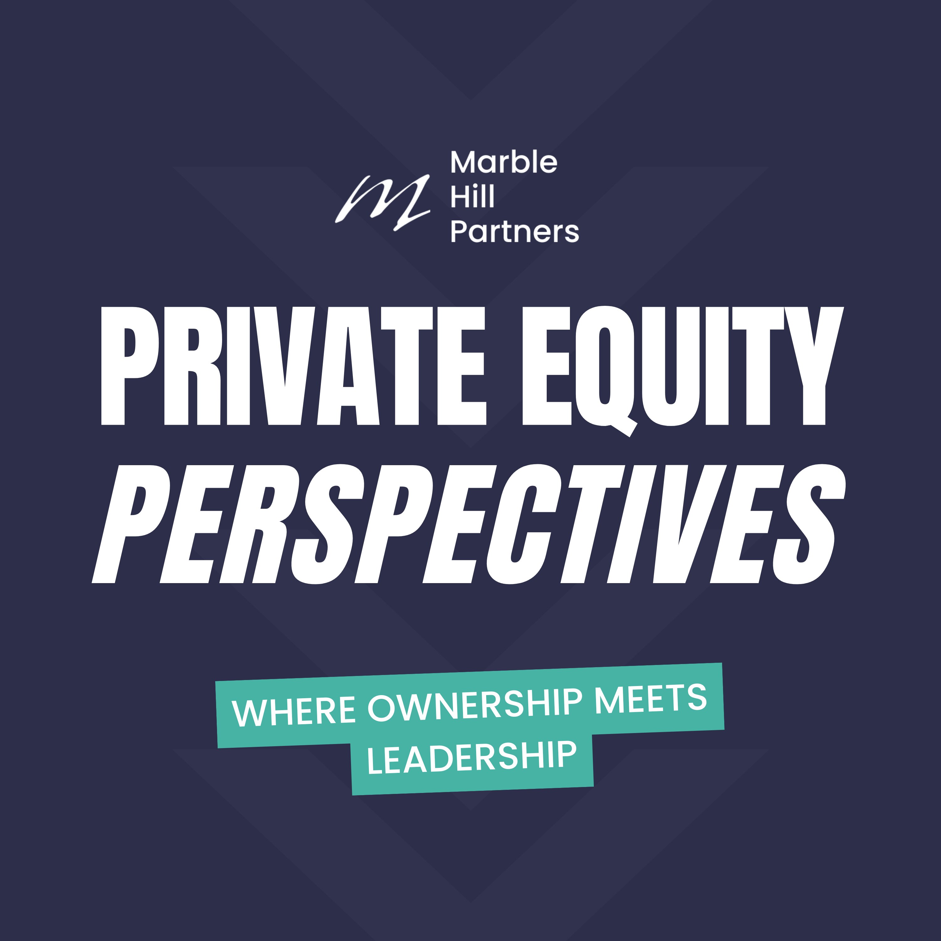 Private Equity Perspectives