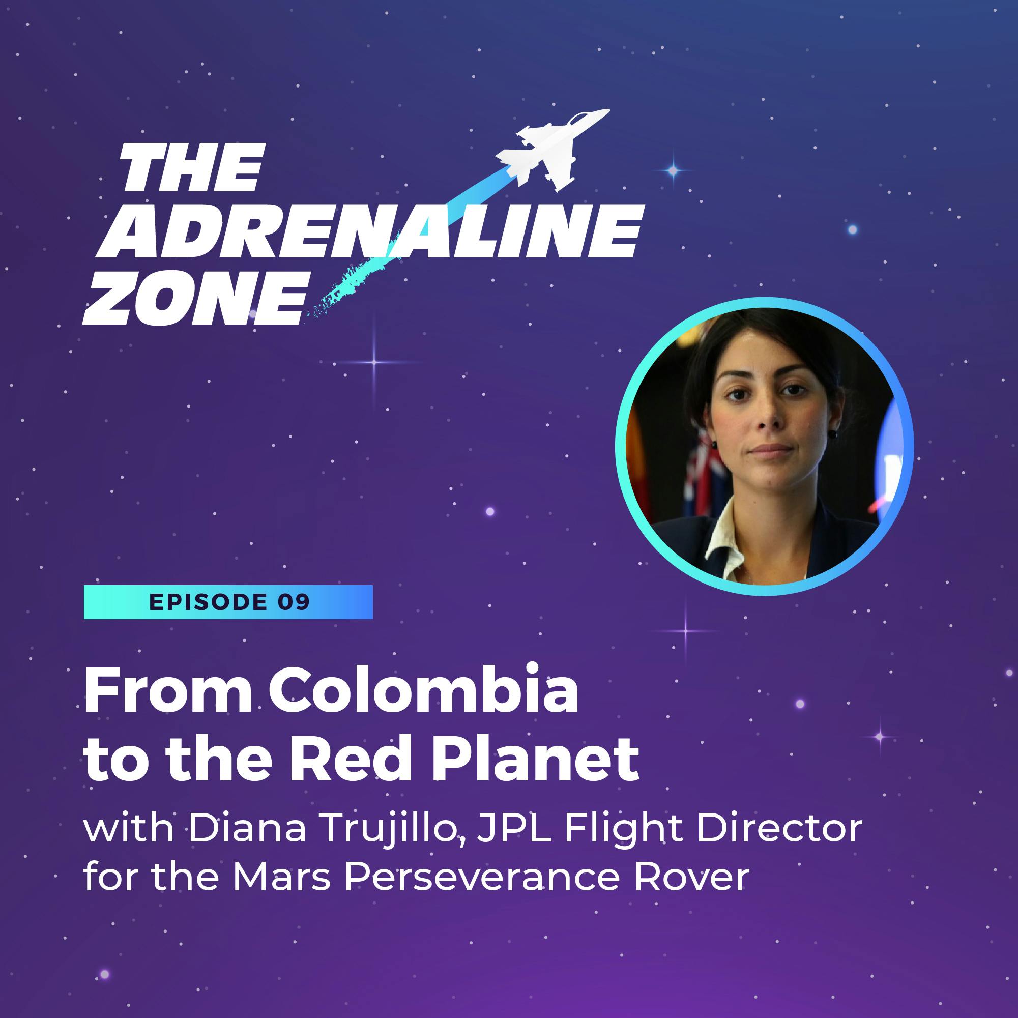 The Adrenaline Zone