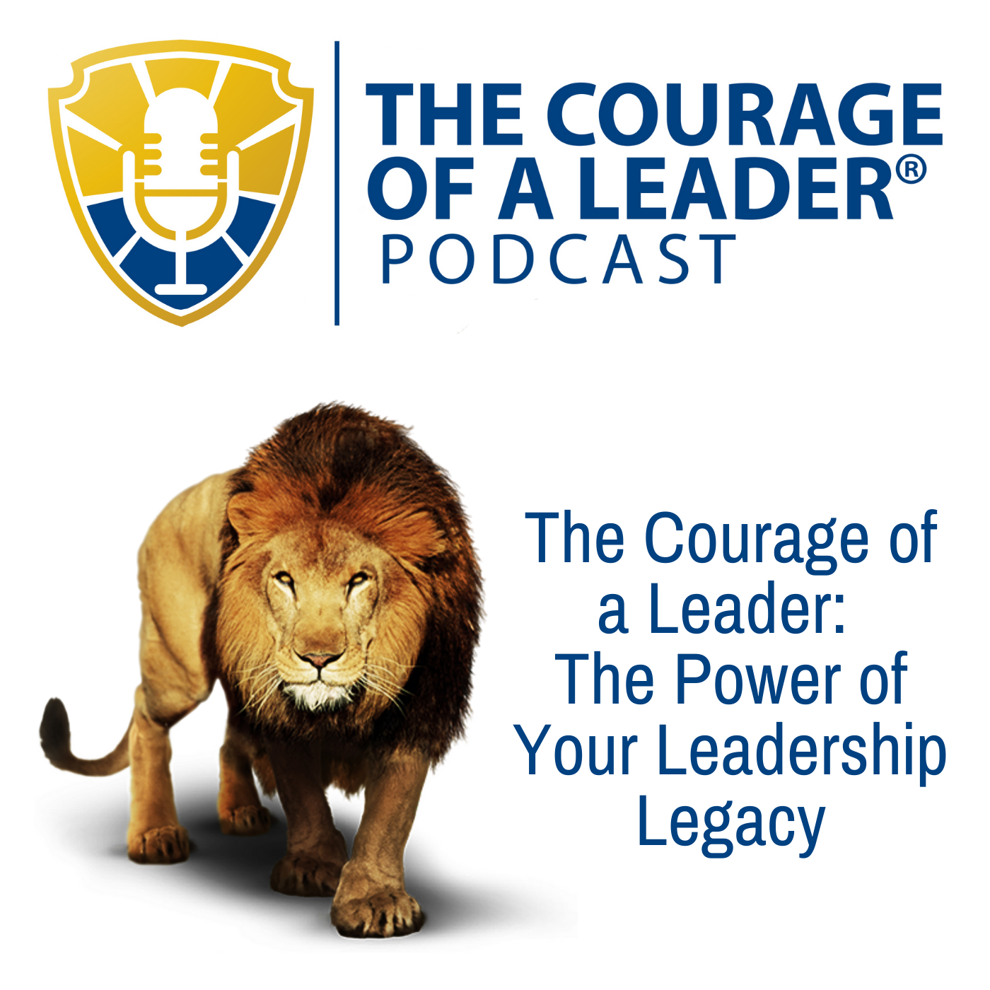 Artwork for podcast The Courage of a Leader