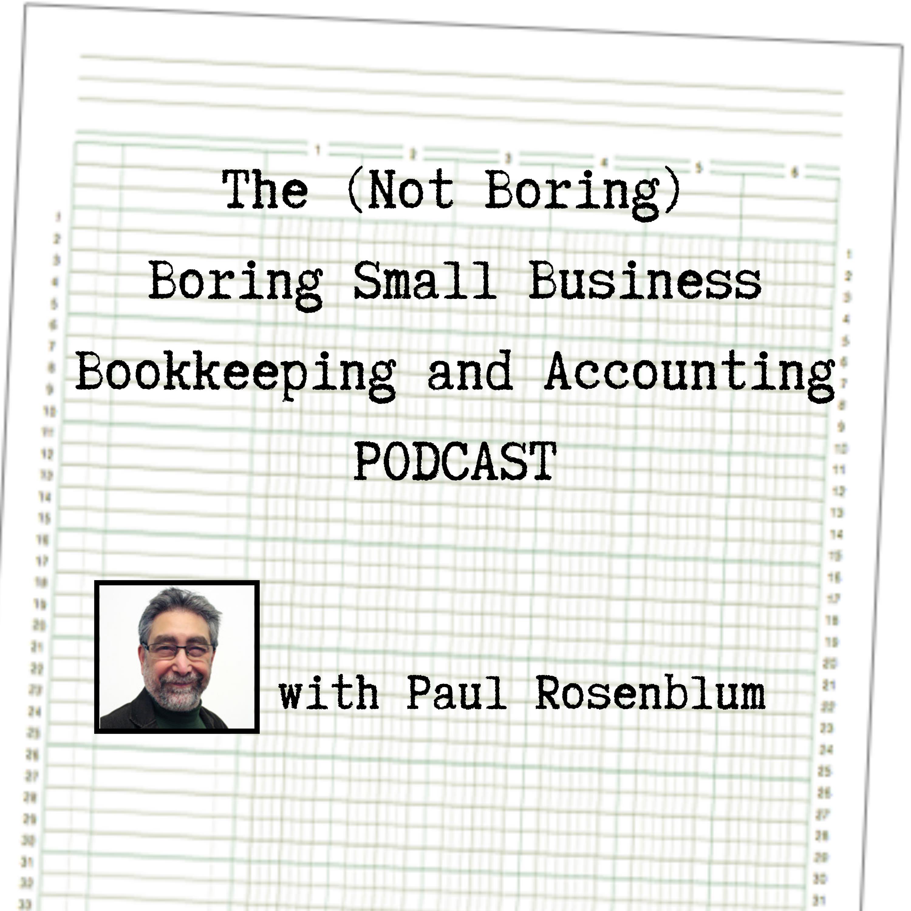 Artwork for The (Not Boring) Boring Small Business Bookkeeping and Accounting Podcast