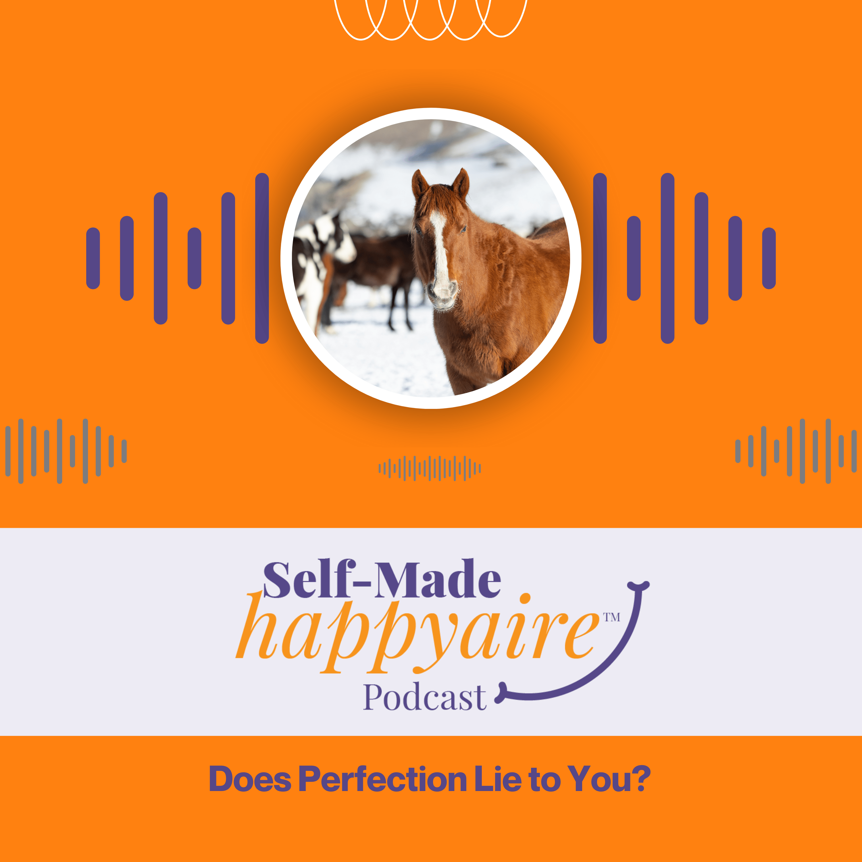 Does Perfection Lie to You? episode artwork