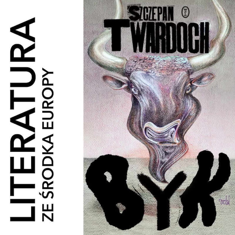 Artwork for podcast literatura ze środka Europy
