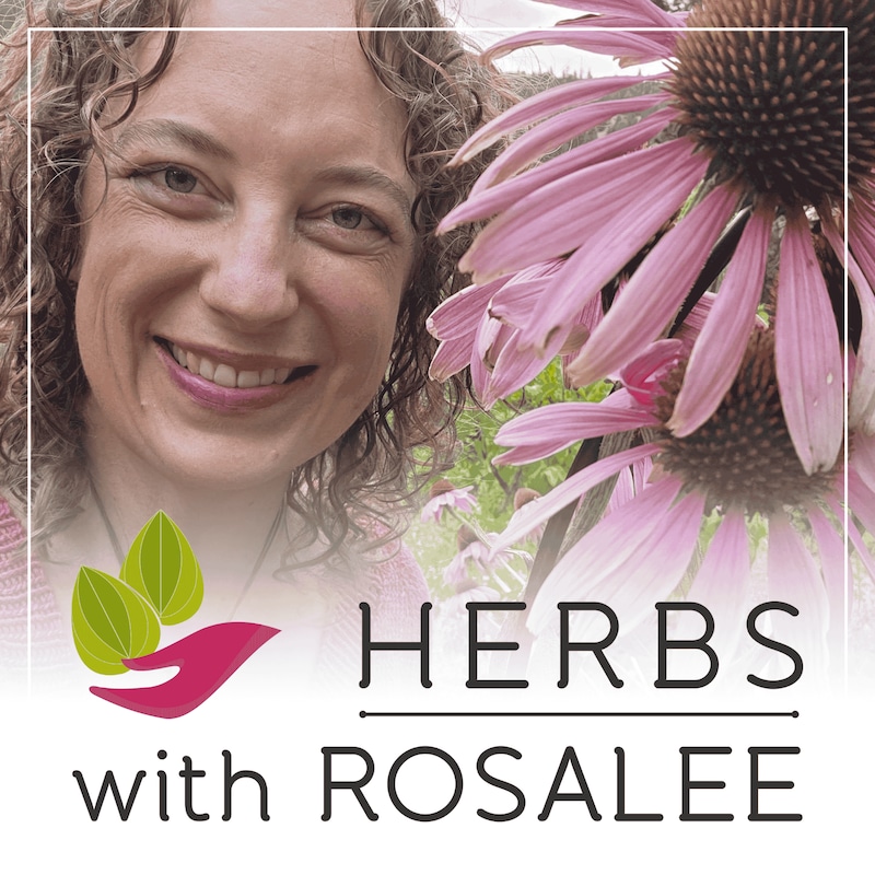 Artwork for podcast Herbs with Rosalee