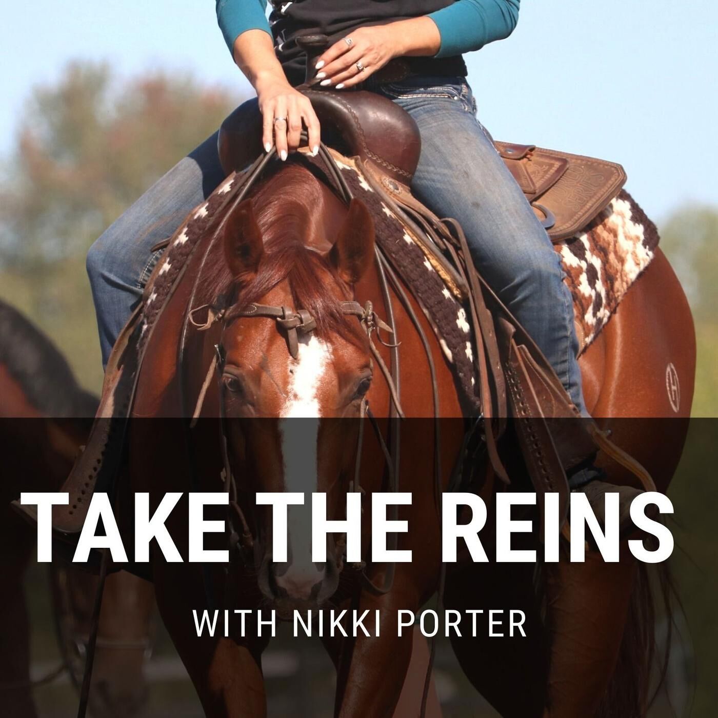 Take the Reins 71: Season 3 Premiere! Settling in for the Ride