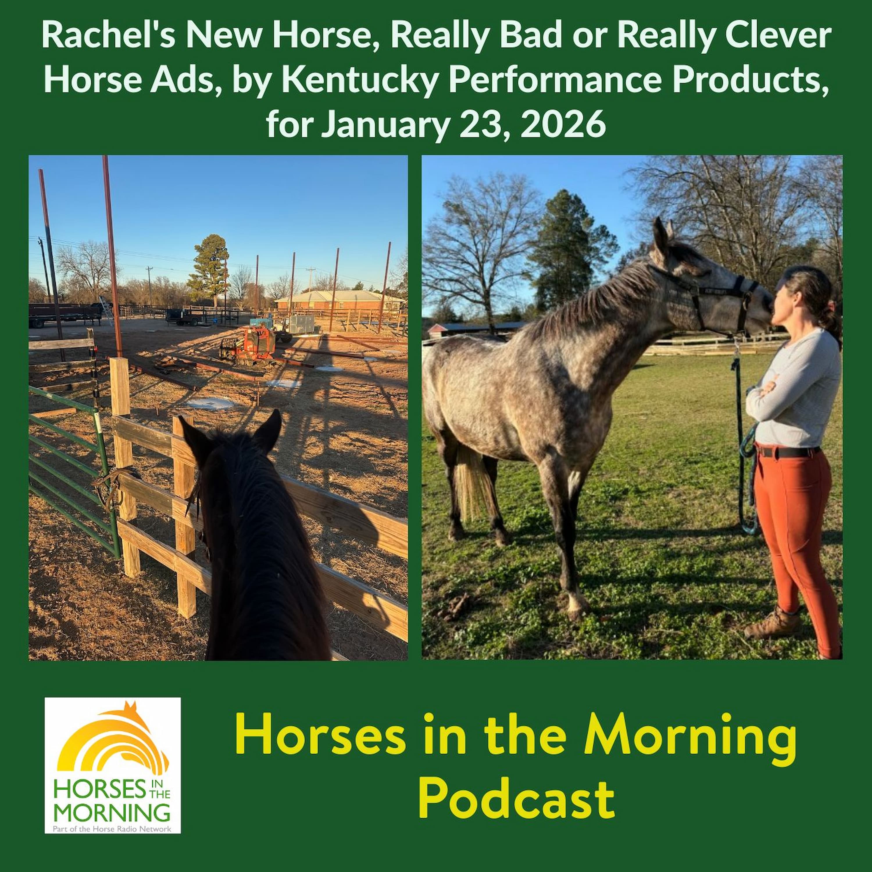 Rachel's New Horse, Really Bad or Really Clever Horse Ads, for January 23, 2026 by Kentucky Performance Products - Horses in the Morning