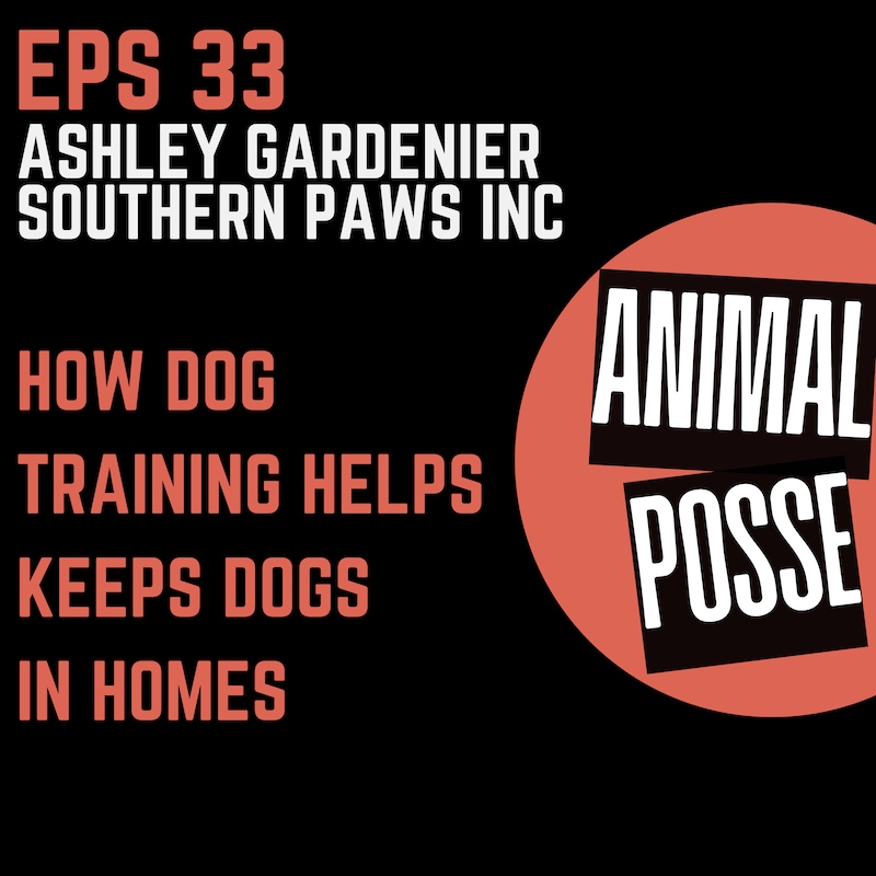 Artwork for podcast Animal Posse