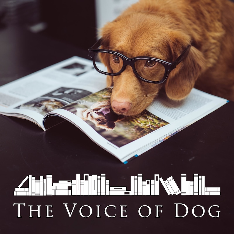 Artwork for podcast The Voice of Dog