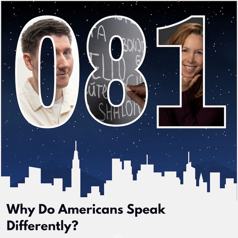 Artwork for podcast America: A History