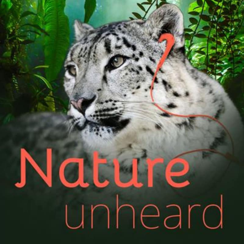 Artwork for podcast Recent projects