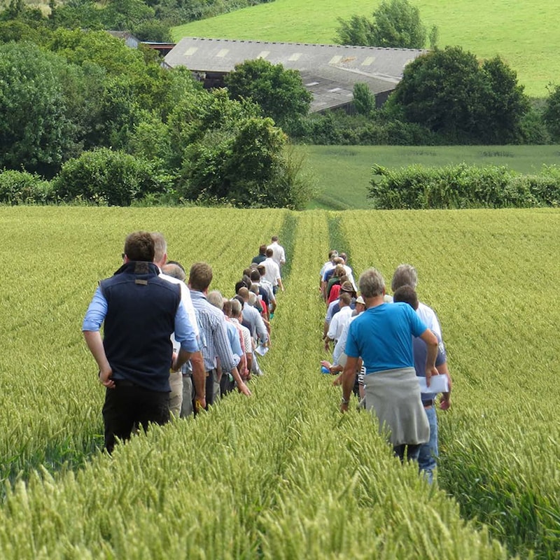Artwork for podcast AHDB Food & Farming