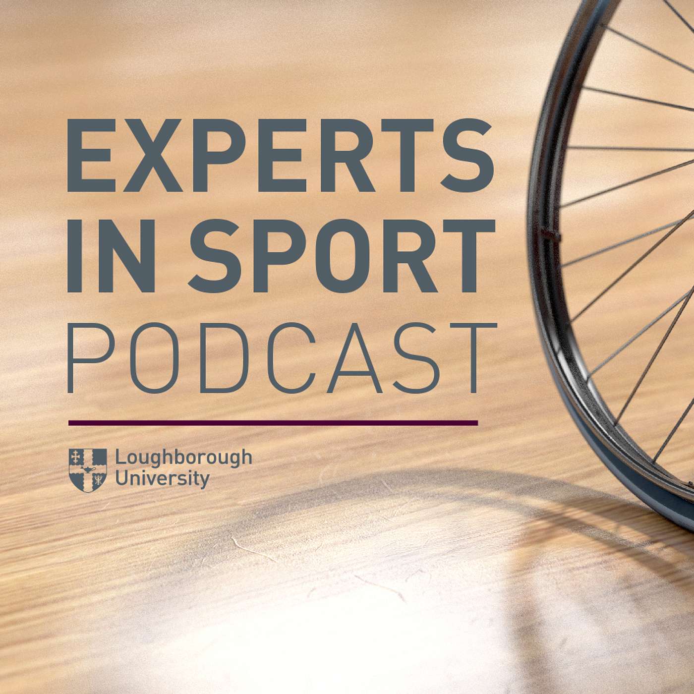 Experts in Sport