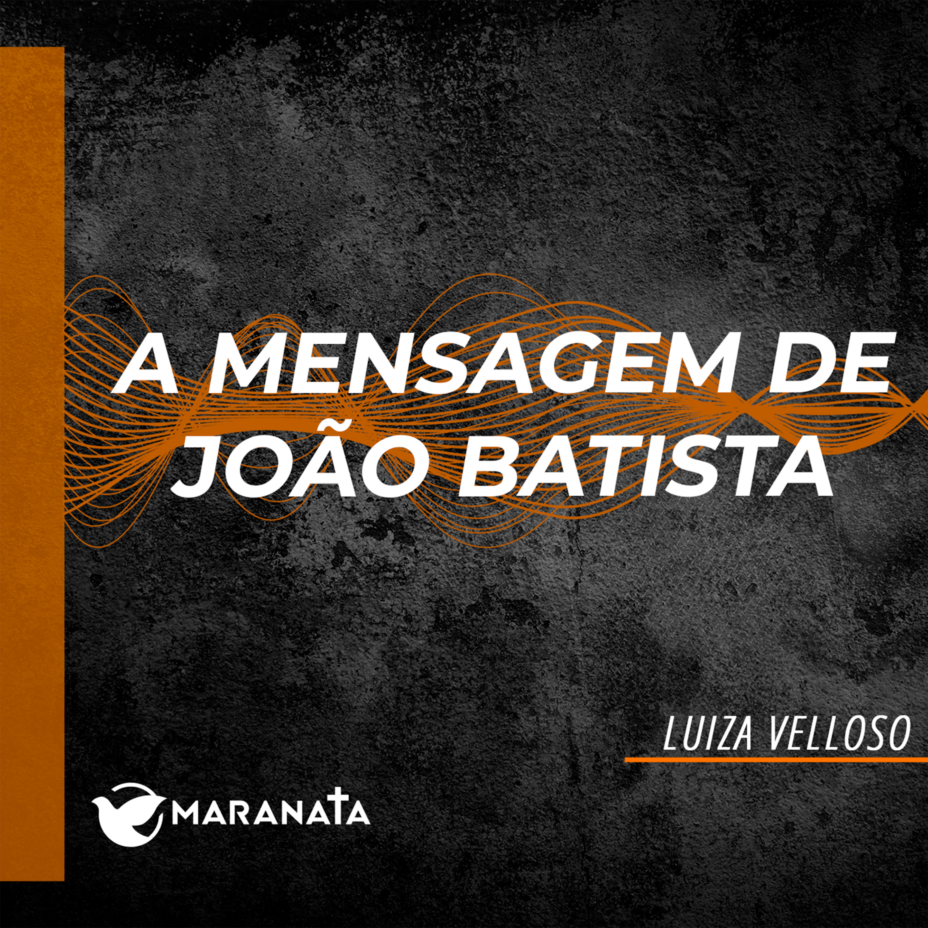 A mensagem de João Batista - Luiza Velloso