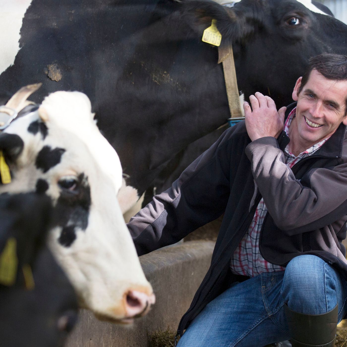 58: Breeding and genetics for dairy herds