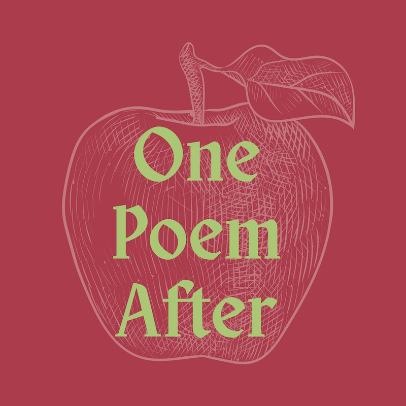 Artwork for podcast One Poem Only