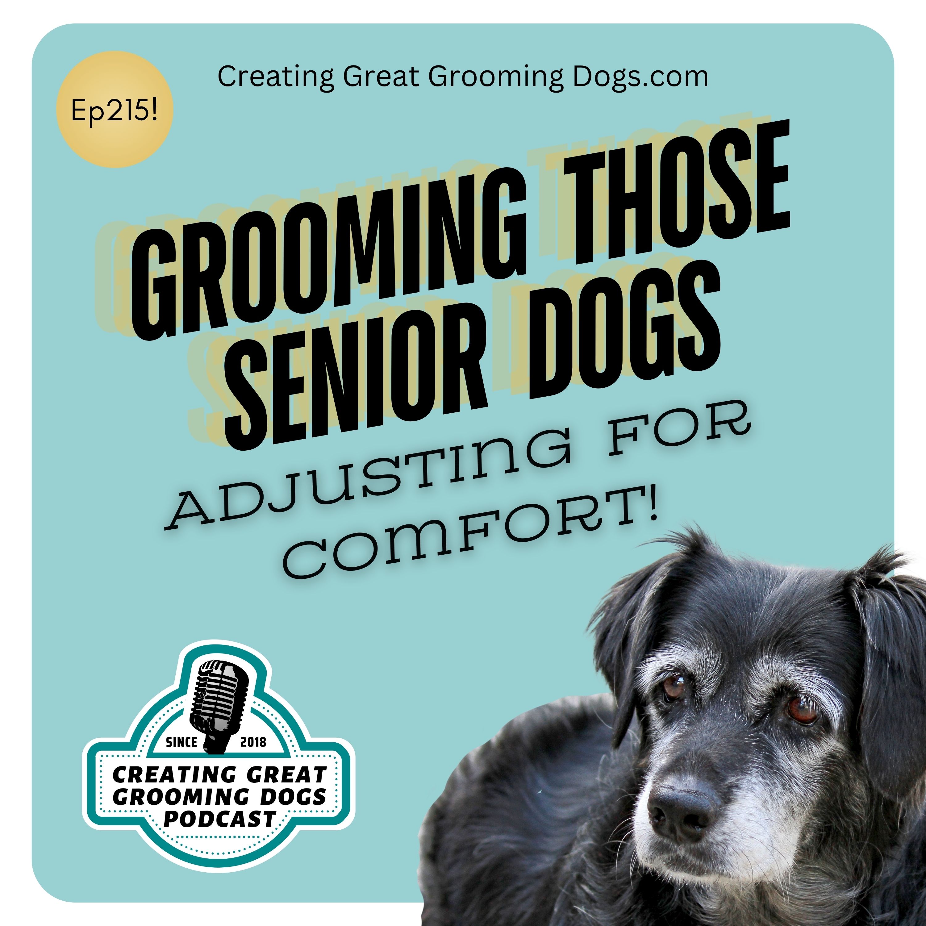 Grooming Those Senior Dogs Ep215