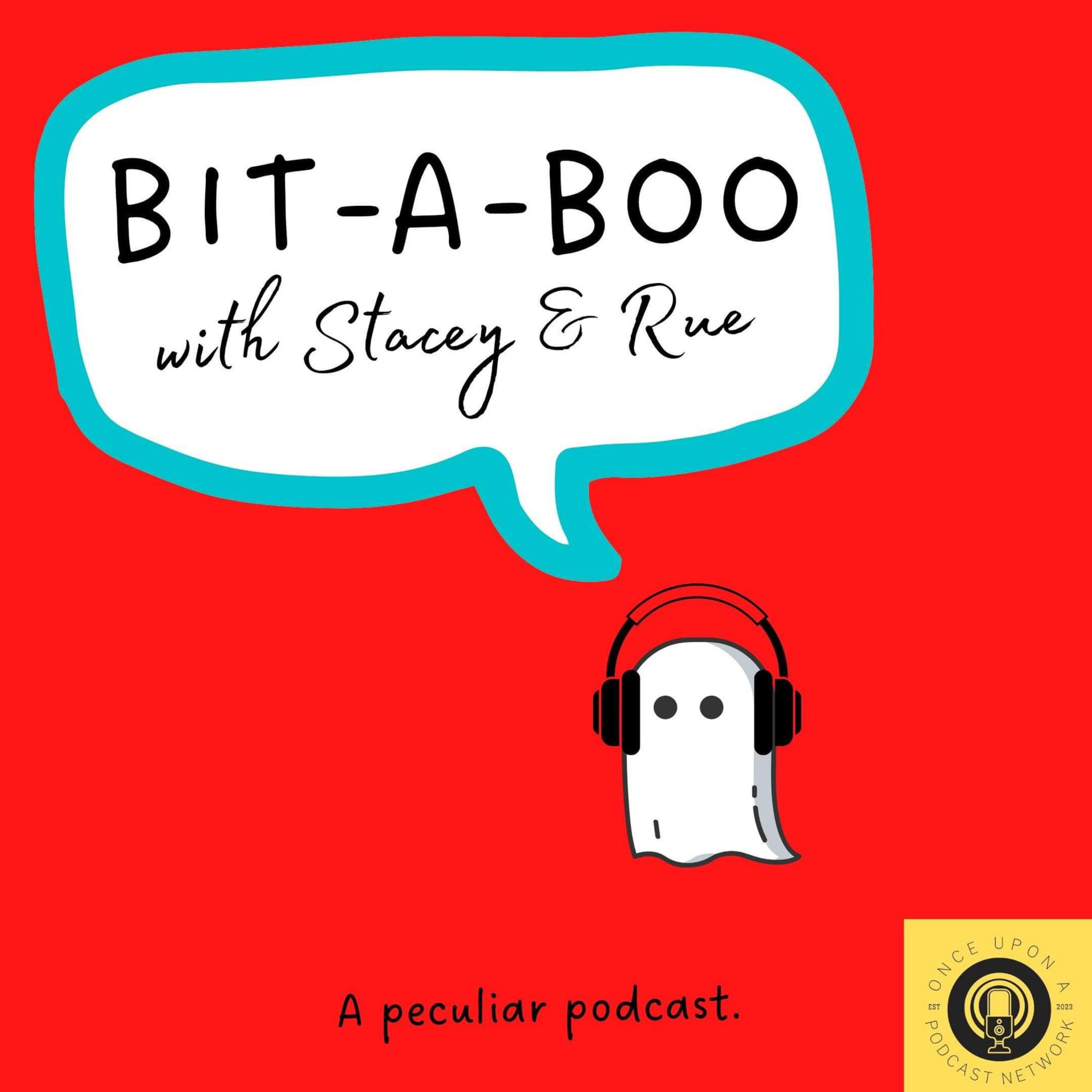 Artwork for podcast Bit A Boo