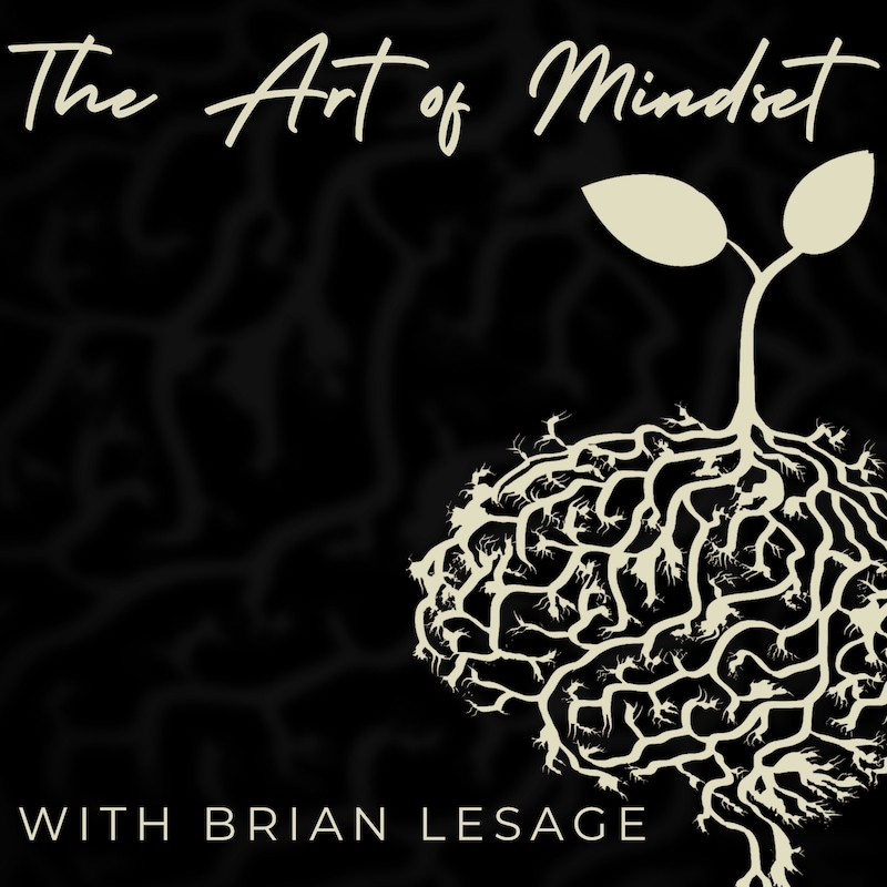Artwork for podcast The Art of Mindset