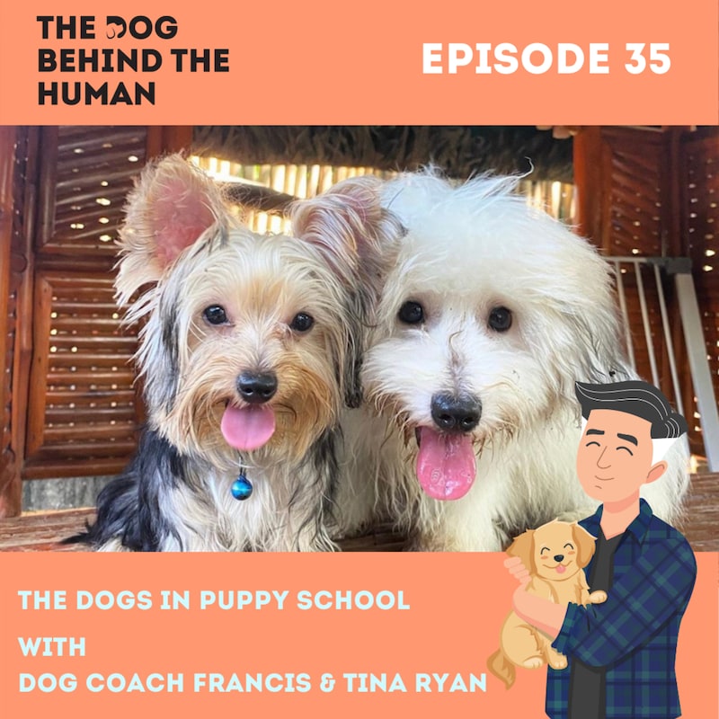 Artwork for podcast The Dog Behind The Human