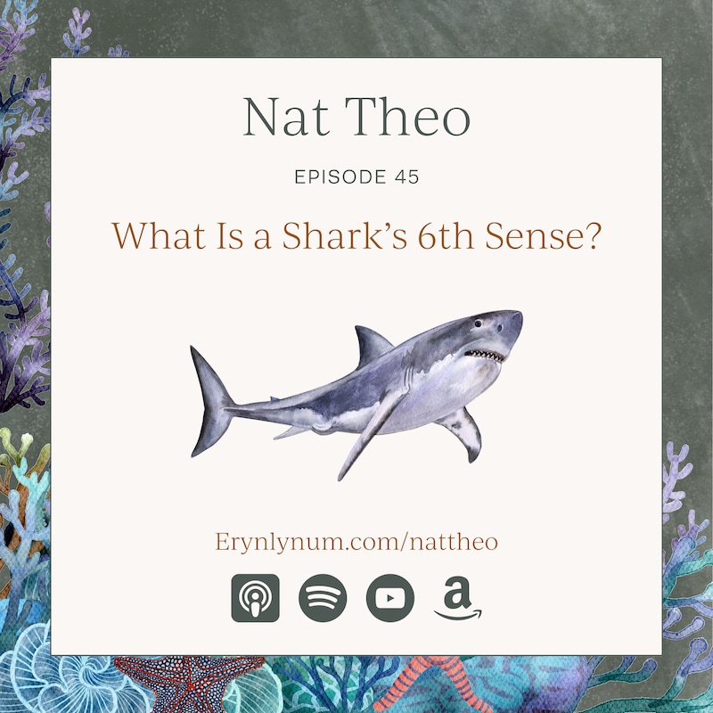 Artwork for podcast Nat Theo Nature Lessons Rooted in the Bible