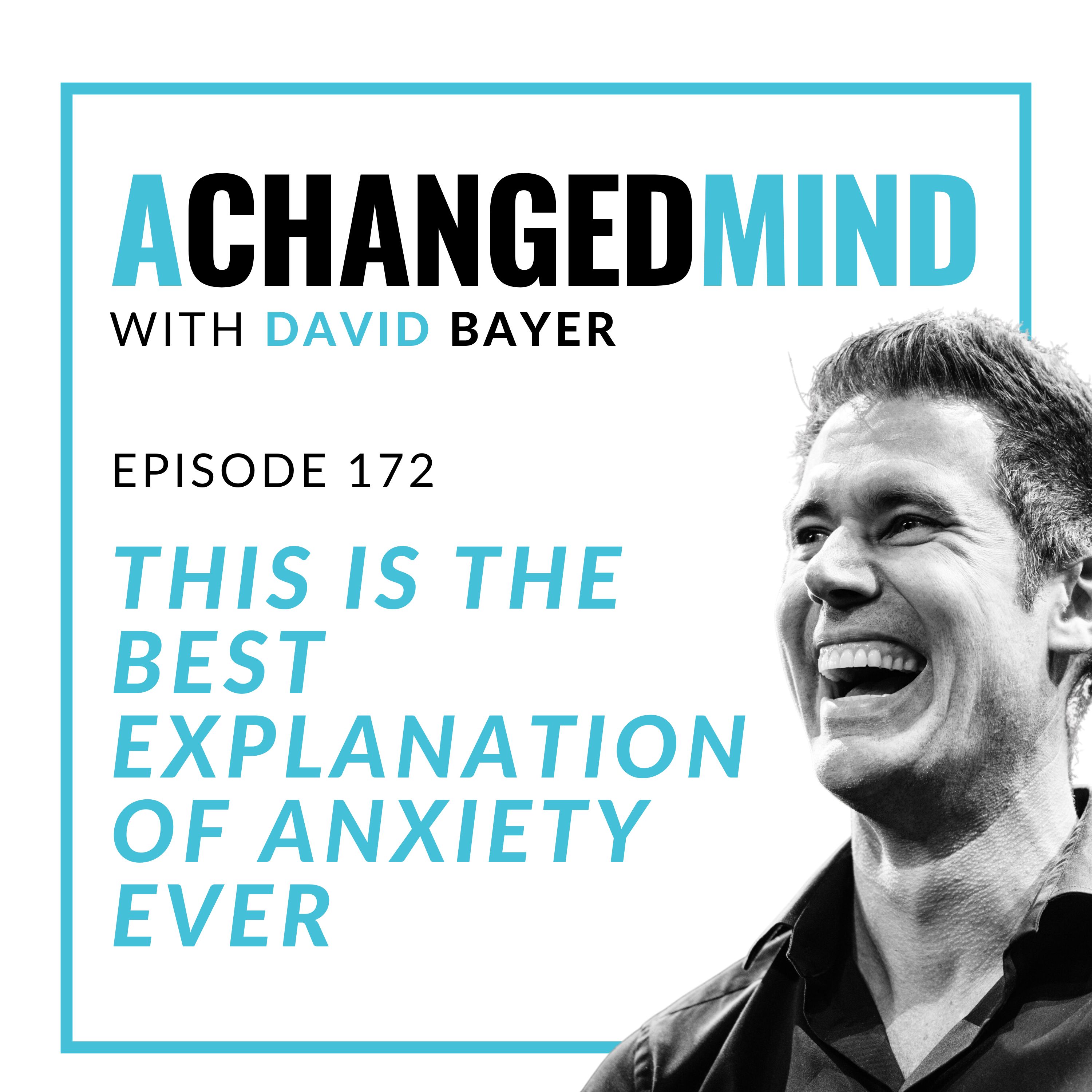 172 This is The Best Explanation of Anxiety Ever